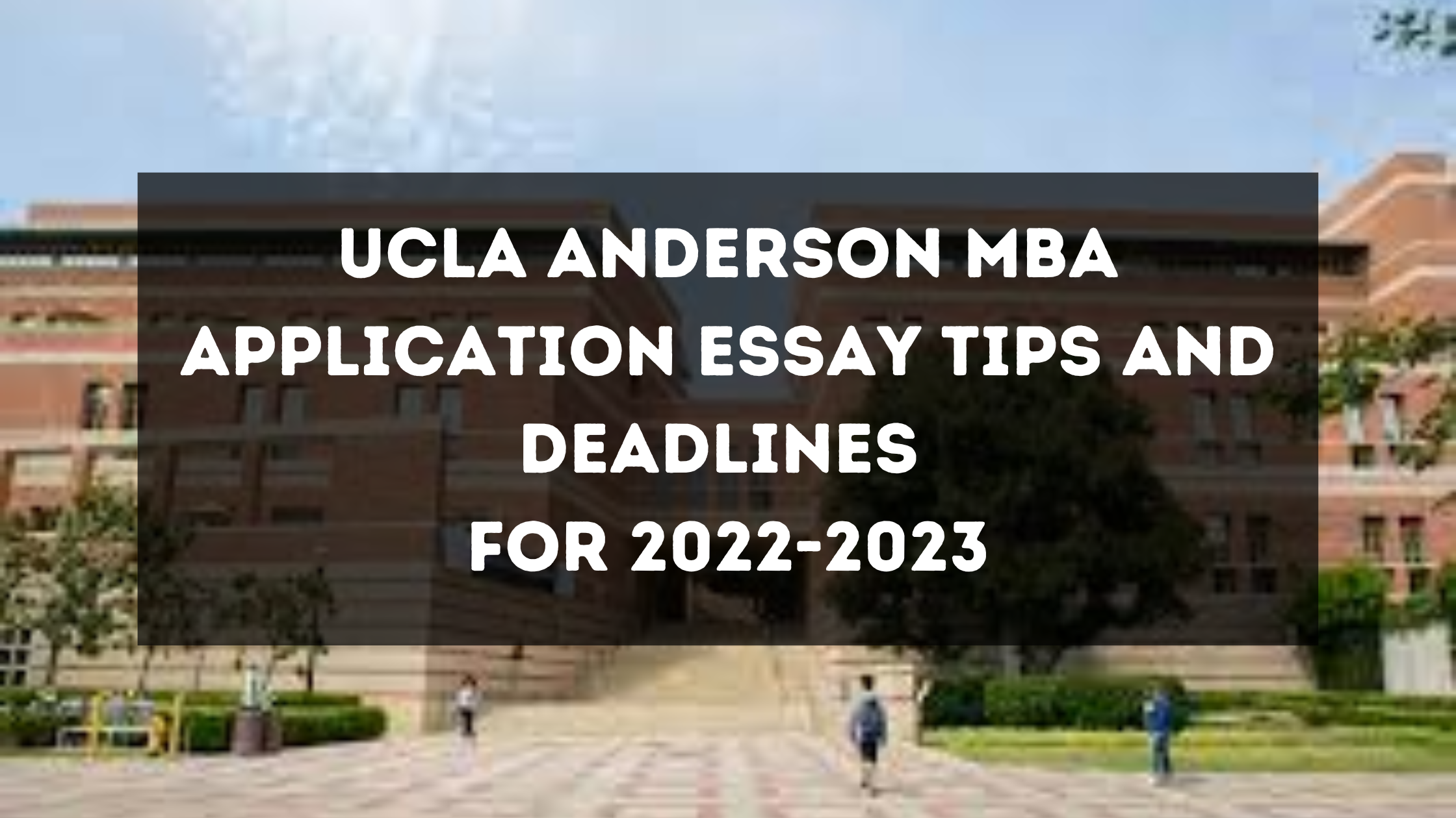 ucla admitted student essay